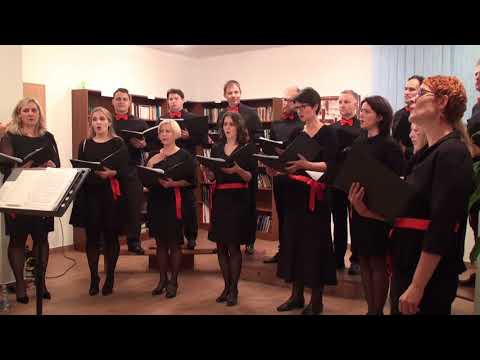 Mešani pevski zbor sv. Urh - Dekle na vrtu