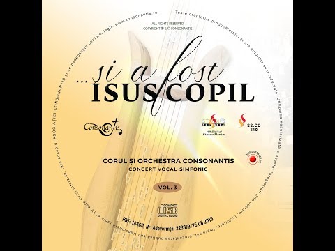 Consonantis - În zbucium și zgură