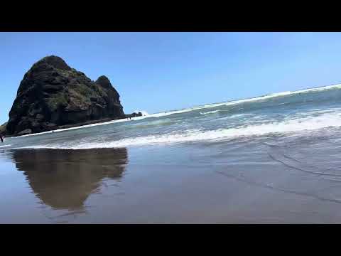 newzealand 🇵🇰🇦🇺piha beaches