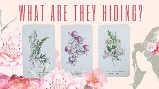 PICK A CARD: WHAT ARE THEY HIDING????? 🤔