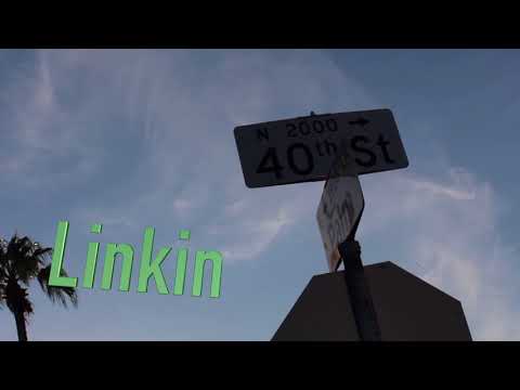Loony the Toon - Linkin [video]