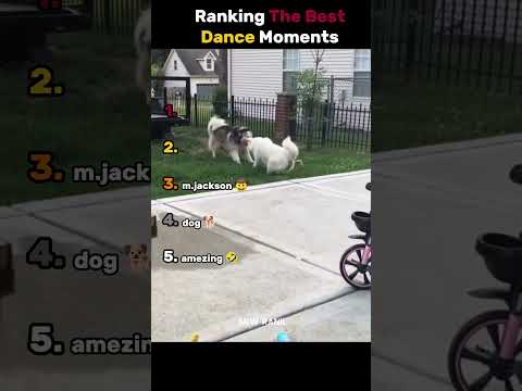 Ranking the best dance moments 🔥 🤠