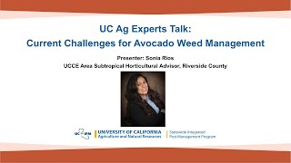 UC Ag Experts Talk: Current Challenges for Avocado Weed Management