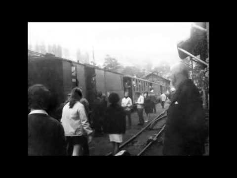 Rittersgrün / Schmalspurbahn Grünstädtel-Rittersgrün