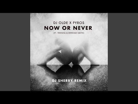 Now or Never (feat. Treesha & Denham Smith) (DJ Sherry Remix)