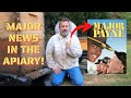 Major Pain in the Apiary! | What is Happening with the Honey Bees?!?