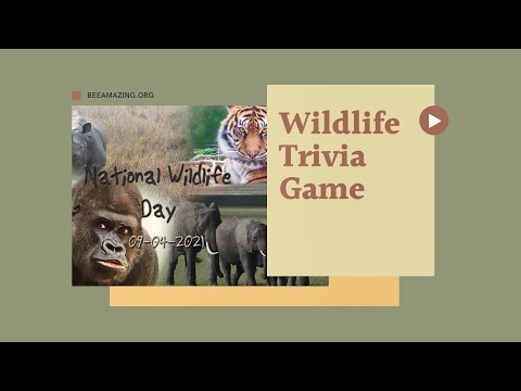 Wildlife Trivia for Adults | Animal Memory Game for Seniors