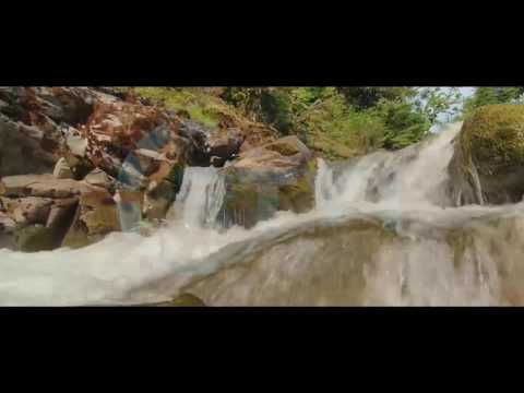 30 Mesime per agjeruesit - Si agjeron stomaku? - 12