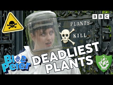 World's DEADLIEST Plants | Blue Peter | CBBC