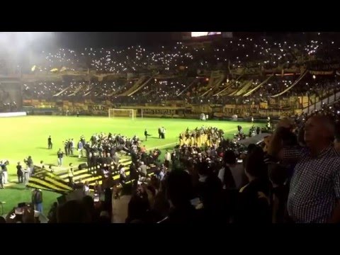 "Inauguración  Campeón Del Siglo Club Atlético Peñarol" Barra: Barra Amsterdam &bull; Club: Peñarol