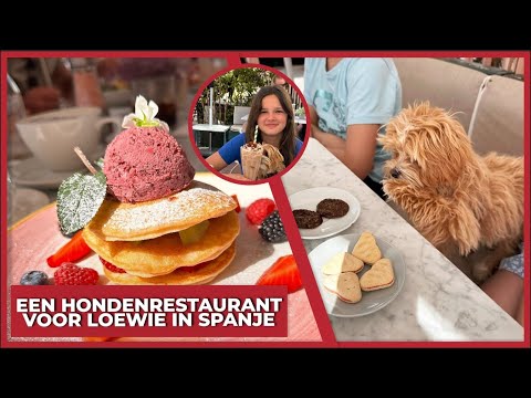 A DOG RESTAURANT FOR LOEWIE IN SPAIN! - #1710