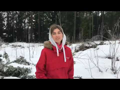Норвегия. Прогулка по Фроланду . ( Walk in Froland Norway)