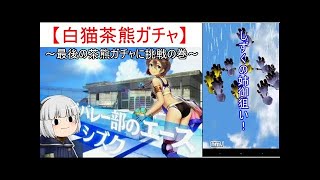 【ゆっくり実況】白猫　茶熊2016イクラ組ガチャイベ！