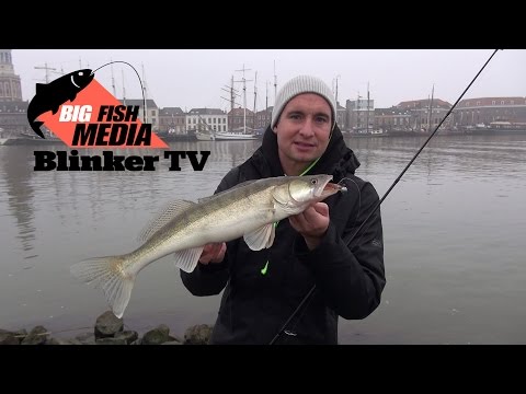 Zanderangeln im Winter | Erfolgreich vom Ufer [HD]