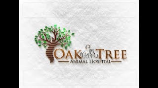 preview picture of video 'Tampa Veterinarian at Oak Tree Animal Hospital Tampa FL 33604'