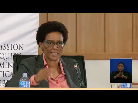 Madlanga Commission drama concludes, Senzo Mchunu looks defeated. Adv Sello 1 : 0 Adv Ngcukaitobi