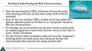 Webinar: The CECL Journey - First CECL Lessons Learned for Community Banks