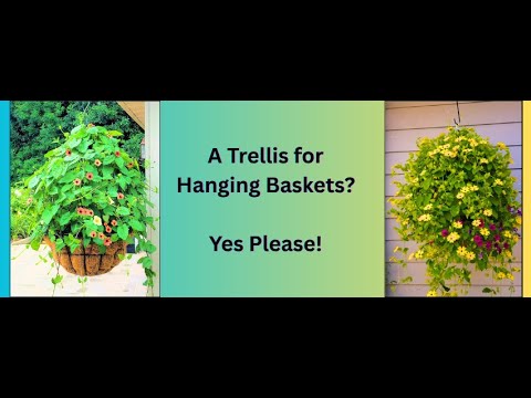 A Unique Garden Supply:  A Trellis for Hanging Baskets so you can grow vines in your hanging baskets