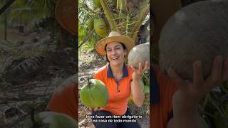 Fazendo óleo de coco