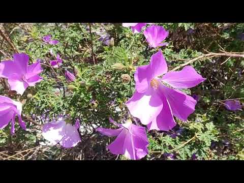 See Life's SPRING Beauty 2021