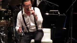 Mondo Cane &quot;Quello che conta&quot; Chile 2013