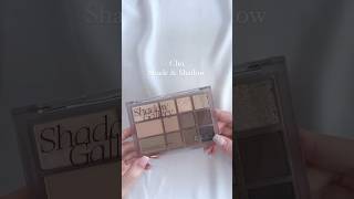 Clio shadow gallery palette for eyeshadow, contour, blush and highlight #clio