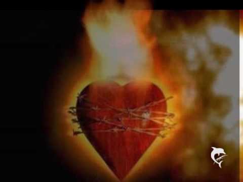 Hearts On Fire - Chris Norman