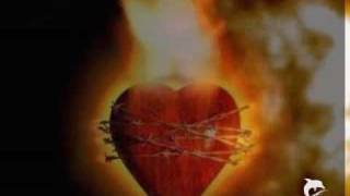 Chris Norman Hearts On Fire