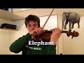 Animal sounds on violin