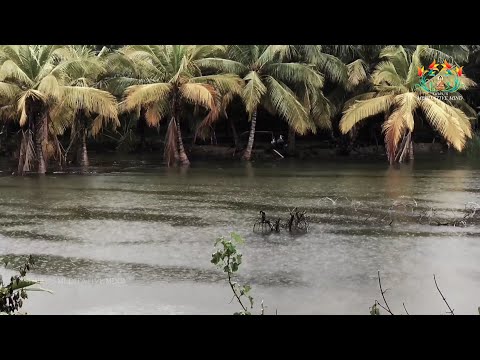 Night Rain In Springtime - 09 Hours of Crickets, frogs, rain, owls, chimes and Rain Sleep Sounds