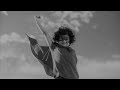 Superbird  NEIL SEDAKA (with lyrics)