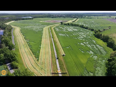 Das muss alles ab! Großeinsatz Roggen mähen für die Biogasanlage GPS Ernte Fendt 728 Vario LU J&J