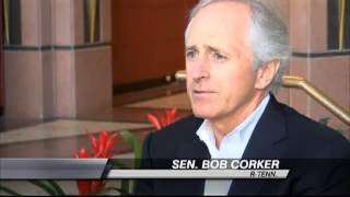 VW Employees Share Opinions Post-Announcement