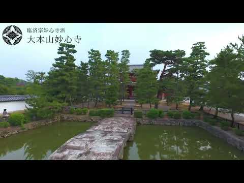 【妙心寺】龍の眼で巡る、京都・妙心寺