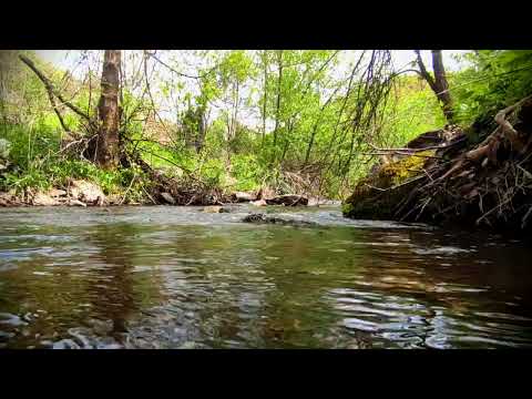Relaxing river sounds / 20 min of peaceful sound and view of the village river / Papratna, Serbia