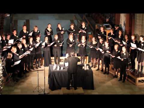 Cappella Concinite zingt Altes Minnelied (Ich fahr dahin) van Brahms