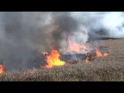 Großer Flächenbrand bei Kell/Reinsfeld
