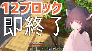 【マイクラ】12ブロック置いたら終了するマイクラ実況 #Shorts