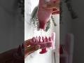 Asmr Hair Care Routine Asmr Haircare Thatgirl Aesthetic Motivation Hairgrowth Satisfying