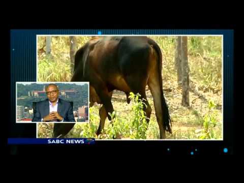 Land Bank secures R5 billion to assist drought-stricken farmers