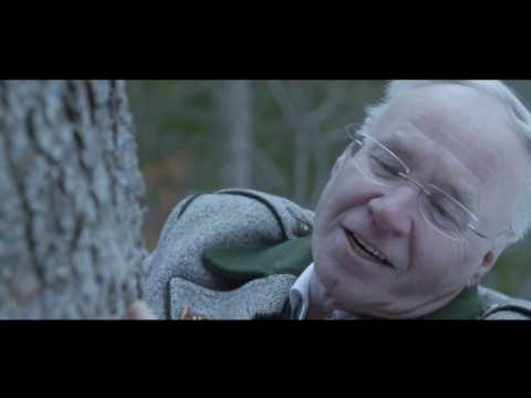 Ohne Holz keine Musik - Ein Film über die Entstehung einer Jamnik Harmonika