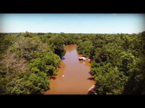 download lagu mp3 mp4 Honey Island Kayak Tours, download mp3 Honey Island Kayak Tours free downloadn, video klip Honey Island Kayak Tours