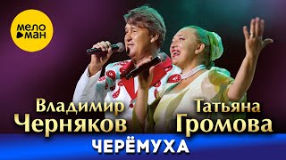 Владимир Черняков, Татьяна Громова - Черёмуха (фестиваль 