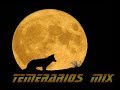 Temerarios Mix