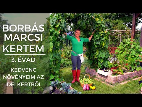 , title : 'Borbás Marcsi - Kertem:  Kedvenc növényeim az idei kertből'