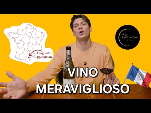 Domaine de L’Horizon Esprit Rouge: SYRAH e CARIGNAN 🍷👀