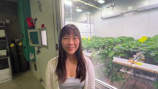 Yiyun Lin | The Ohio State University  |  Department of Horticulture and Crop Science