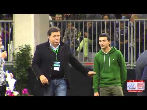 European Championships Verona 2013 - Endurance ANICA