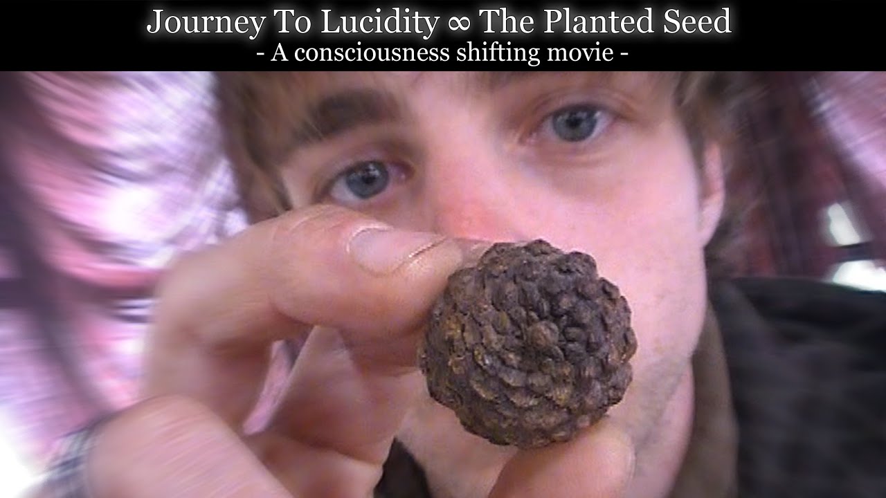 Journey to Lucidity: The Planted Seed, created by Brendon Culliton