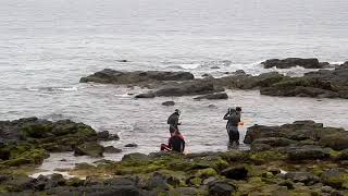 向志工 致敬....我們只是想為七美留一個生態豐富的海洋